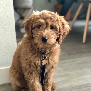 Meet your Posher, Jack